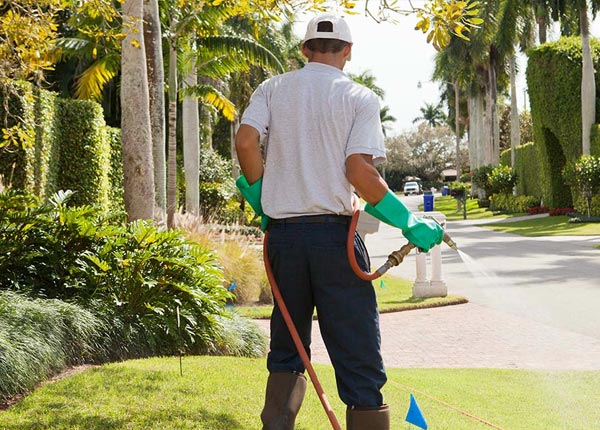 About Babb MT Pest Control